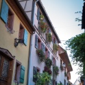 Eguisheim - 140